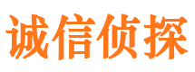 罗甸市私家侦探